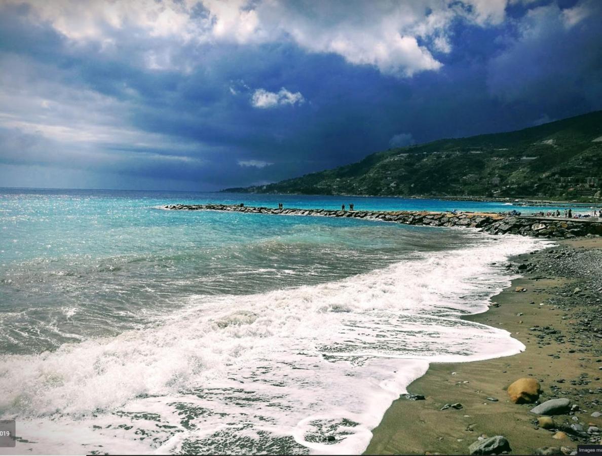 Amazing Sea 